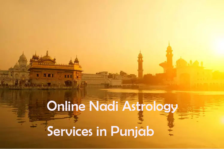 Online Nadi Astrology Services in Punjab