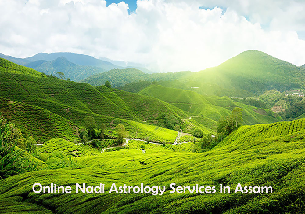 Online Nadi Astrology Services in Assam